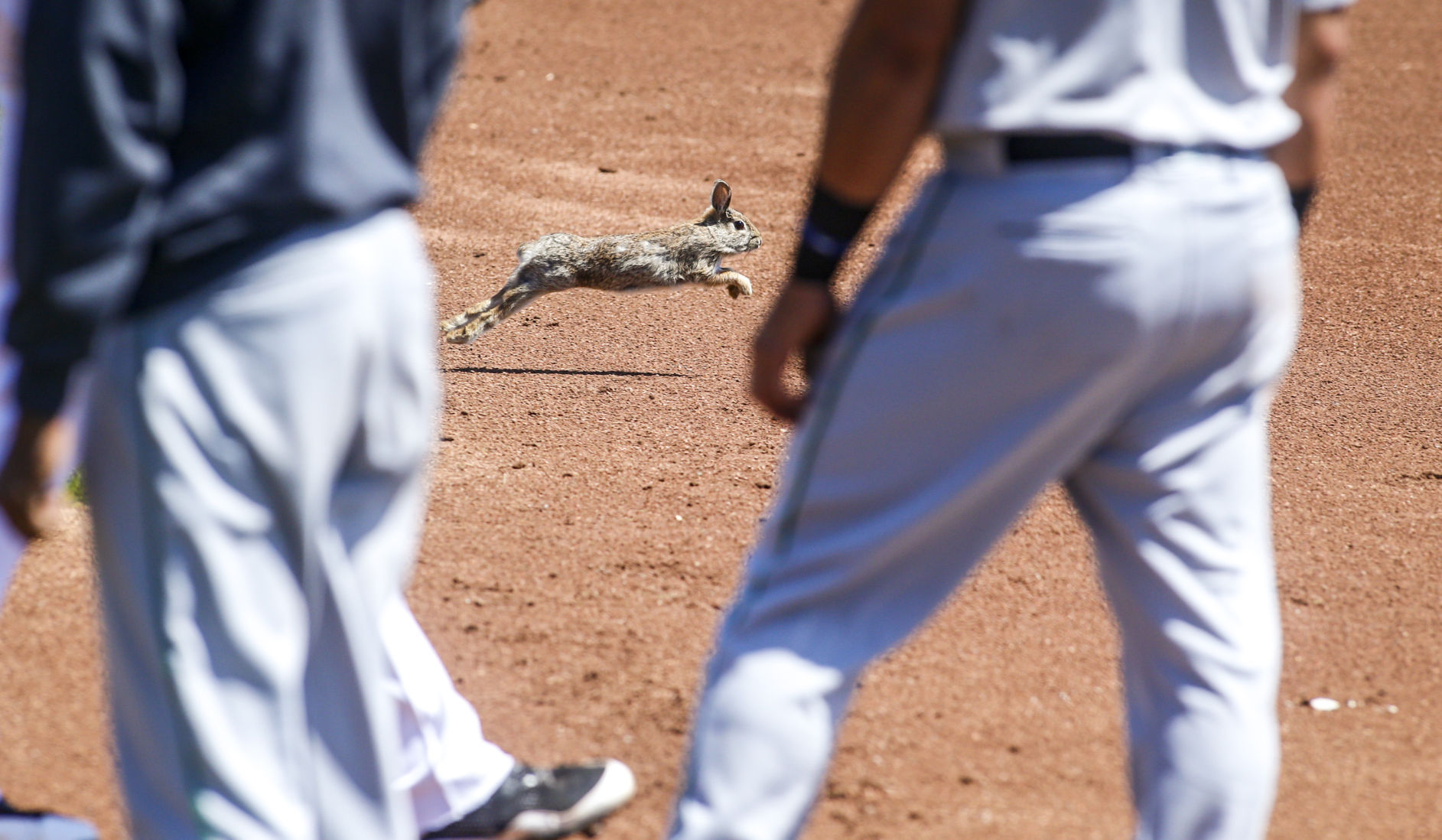 Outtakes: Rabbit and River Bandits
